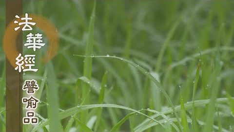 《法華經 譬喻品》恭敬信受 不輕新學 - 第694集