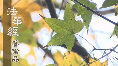 《法華經 譬喻品》見思惑業 大法難投 - 第649集