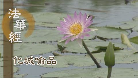 《法華經 化城喻品》 - 言有法 行有則 - 第1011集