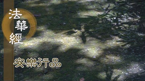 無畏之德 轉妙法輪 - 第1404集