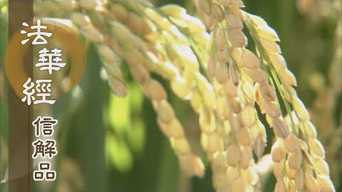 《法華經 信解品》持如來戒 如淨明珠 - 第854集