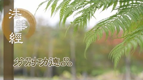 解悟壽量 分別功德 - 第1556集
