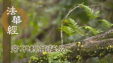 《法華經 常不輕菩薩品》累劫持經 疾得佛果 - 第1755集