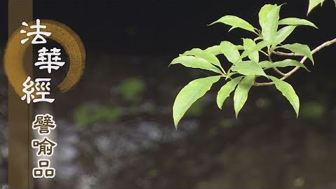 《法華經 譬喻品》權實雙運 - 第482集