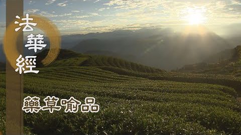 《法華經 藥草喻品》 - 五乘各入法中 - 第888集
