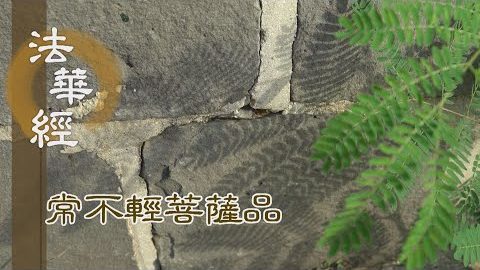 《法華經 常不輕菩薩品》正法之道 能安邦國 - 第1738集