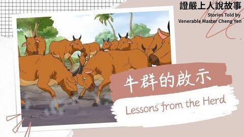 牛群的啟示Lessons from the Herd｜不知不覺過日子｜要覺悟｜小故事大啟示
