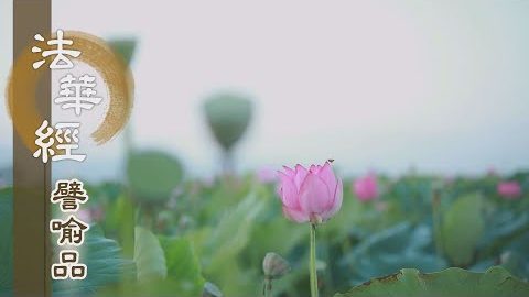 《法華經 譬喻品》眾生心善 有緣化度 - 第563集