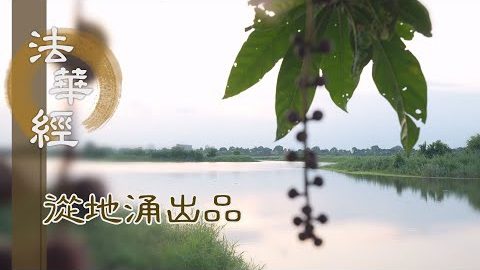 子老父少 是事難信 - 第1499集