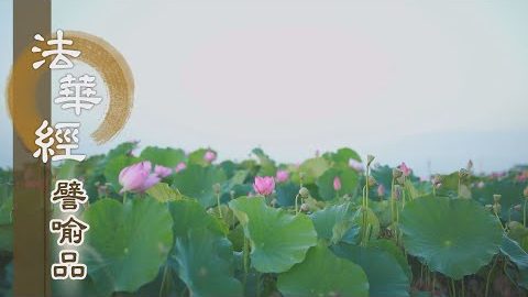 《法華經 譬喻品》離我破執 契入真理 - 第628集