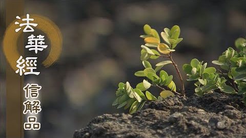《法華經 信解品》恆伺子機 今日機來 - 第760集