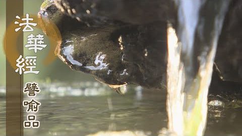 《法華經 譬喻品》娑婆眾苦 相續不絕 - 第646集