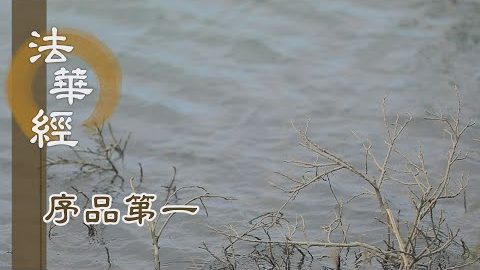《法華經 序品第一》- 阿難尊者斷惑因緣 - 第17集