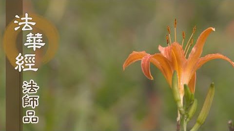 《法華經 法師品》- 是敬信人 去道甚近 - 第1230集