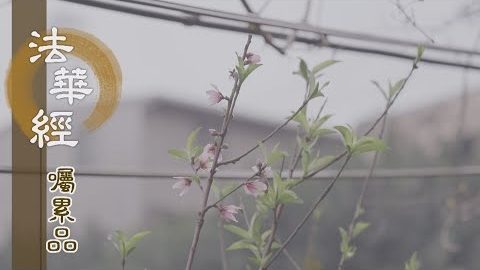 《法華經 囑累品》一心流布 廣令增益 - 第1799集