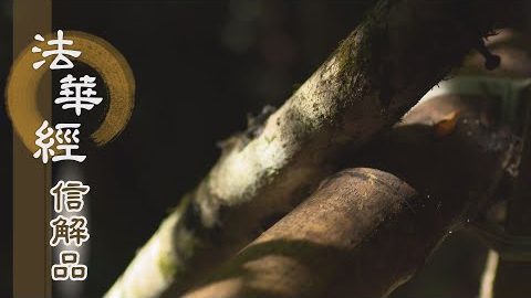《法華經 信解品》莫滯聲聞 誓願成佛 - 第811集