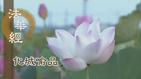 《法華經 化城喻品》 - 來去自如 直向正道 - 第1080集