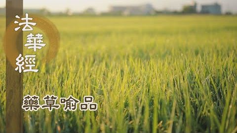 《法華經 藥草喻品》 - 如來出世 如大雲起 - 第880集