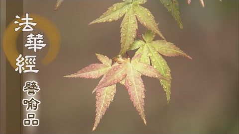 《法華經 譬喻品》勤修德業 令法住世 - 第530集