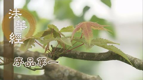 《法華經 序品第一》- 真如性顯 塵去光現 - 第21集