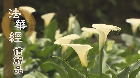 《法華經 信解品》道糧不足 慧命贏瘦 - 第774集
