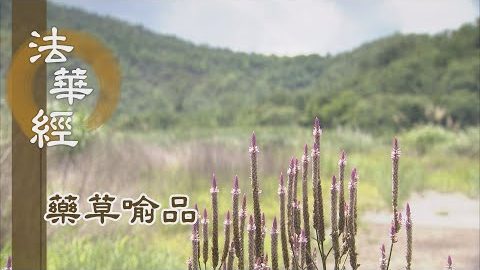 《法華經 藥草喻品》 - 如來十號 - 第882集