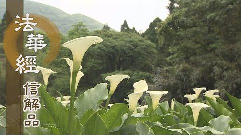 《法華經 信解品》無常苦空 真空妙有 - 第759集