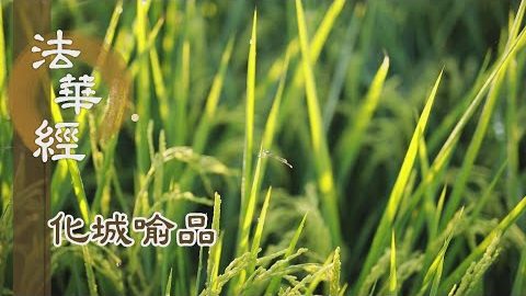 《法華經 化城喻品》 - 難得法雨潤飢虛 - 第1024集