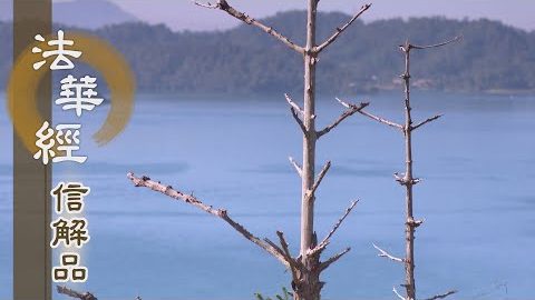 《法華經 信解品》慈心一切 無所傷害 - 第786集