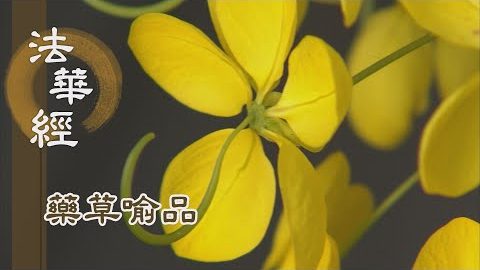 《法華經 藥草喻品》 - 五大之恩 天地之德 - 第874集