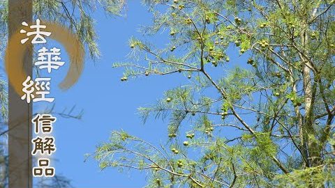 《法華經 信解品》出三界了分段生死 - 第827集