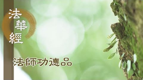 諸所說法 不違實相 - 第1716集