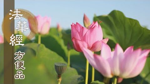 信受持戒 入智慧門 - 第190集
