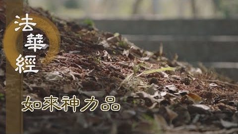 《法華經 如來神力品》以佛神力 皆見娑婆 - 第1775集