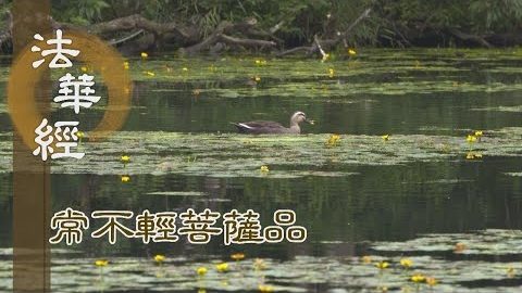 《法華經 常不輕菩薩品》身心寂靜 入群化眾 - 第1751集