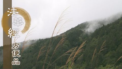 無量道法 勇猛精進 - 第208集