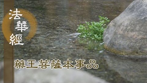 《法華經 藥王菩薩本事品》善觀諸法 無礙而轉 - 第1815集
