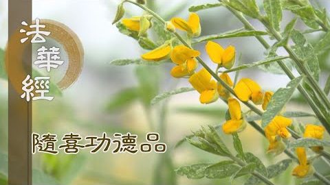 聞善深心 信受力行 - 第1634集
