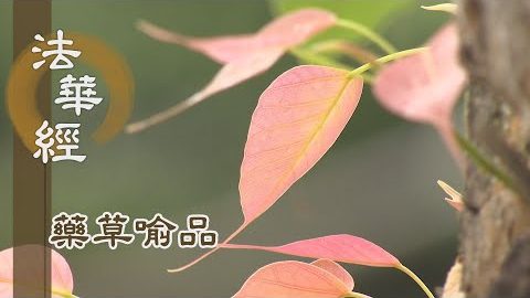《法華經 藥草喻品》 - 觀機說五乘 - 第886集