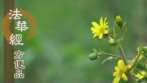 開佛知見 離垢清淨 - 第284集