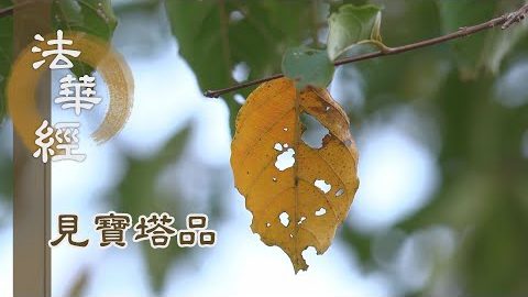 《法華經 見寶塔品》- 普應群機 若月臨水 - 第1291集