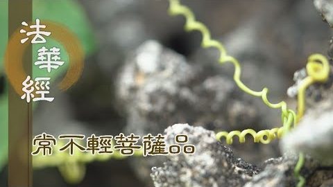 《法華經 常不輕菩薩品》智慧明了 無恐畏相 - 第1753集