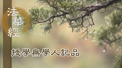 《法華經 授學無學人記品》- 勤進修 悟真理 - 第1165集