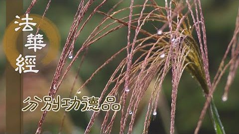 出家入道 能生佛智 - 第1591集