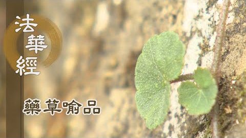 《法華經 藥草喻品》 - 佛音遍聞於三界 - 第885集