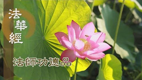精勤持法 讀誦說寫 - 第1670集