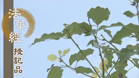 《法華經 授記品》 - 虔誠供心 奉事供養 - 第961集