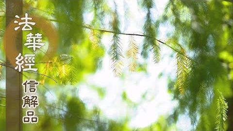 《法華經 信解品》細觀法性 平等大慧 - 第729集