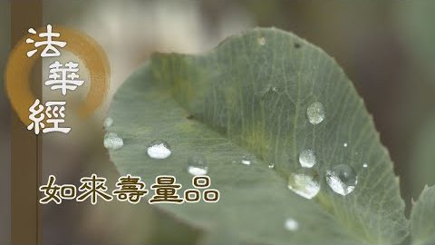 所作佛事 未曾暫廢 - 第1526集