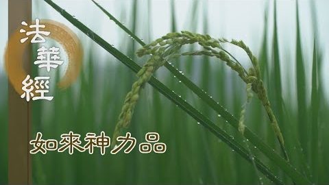 《法華經 如來神力品》悉見凡聖 恭敬圍繞 - 第1777集